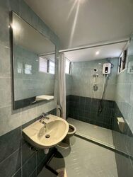 Dunearn Road (D11), Condominium #473770961